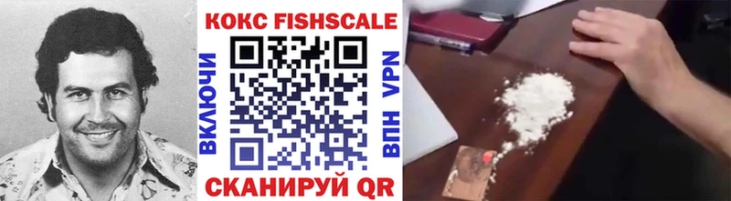 закладки  Ивантеевка  Cocaine Fish Scale 
