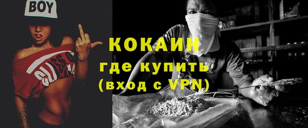 кокс Ельня