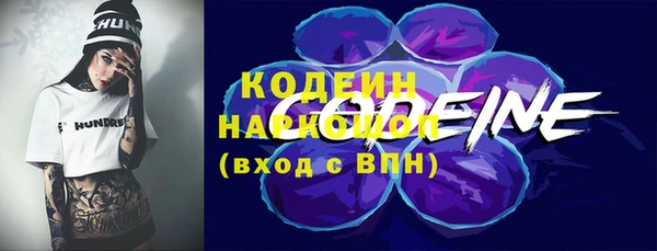 кокс Ельня