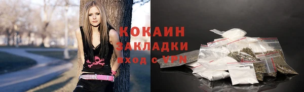 кокс Ельня