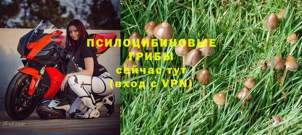 mdma Елизово