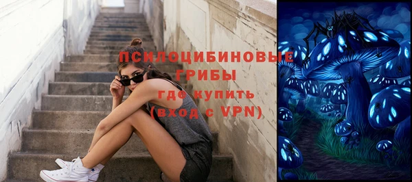 кокс Ельня