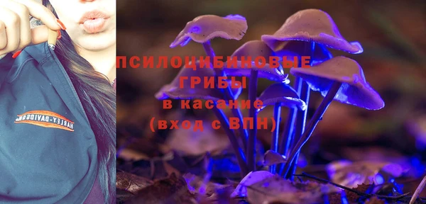 прущая мука Елабуга