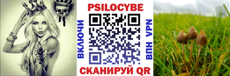 Псилоцибиновые грибы MAGIC MUSHROOMS  как найти закладки  Ивантеевка 