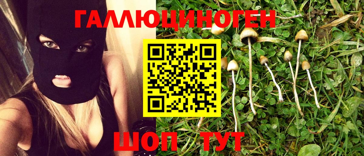 Галлюциногенные грибы Psilocybine cubensis  Вход с VPN  Ивантеевка 